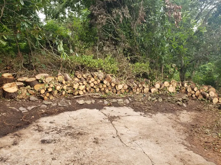 Southern Elements property cleanup project